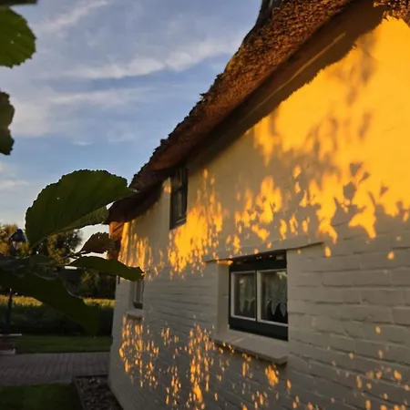 Ferienhaus Reetdachhaus Petra By Interhome *